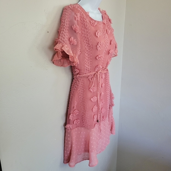 Andree by Unit Small Pink Dress Short Sleeve Swiss Dot Poms Girly Feminine - Picture 4 of 8